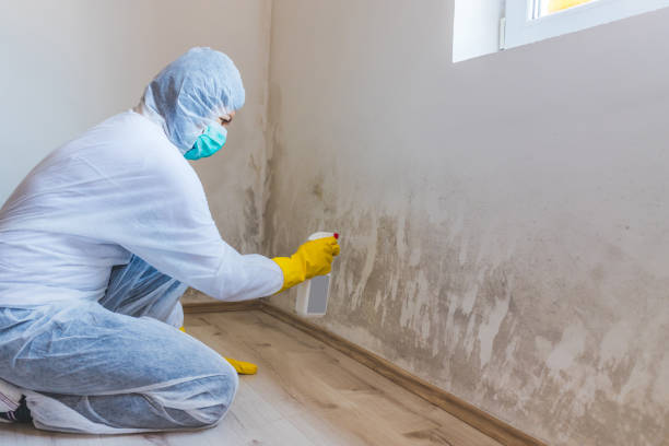 Hvac And Air Duct Mold Remediation inspection of HVAC system in Brandywine