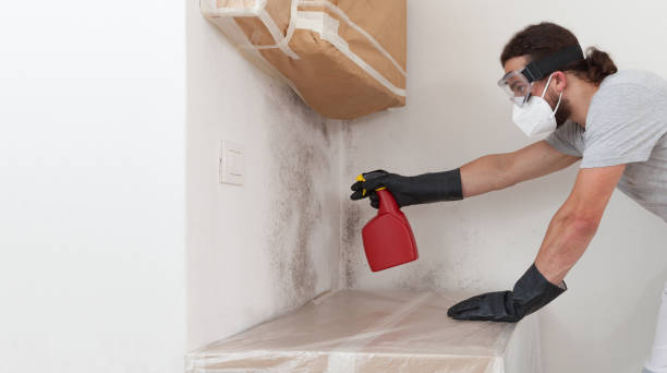 Attic Mold Remediation treatment on roof deck in Brandywine